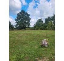 Stellplatz für Wohnwagen Caravan Trailer oder Boot zu vermieten - Groß Kreutz (Havel)