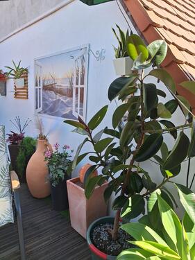 Foto - Reihenhaus in Gerbstedt zum Kaufen