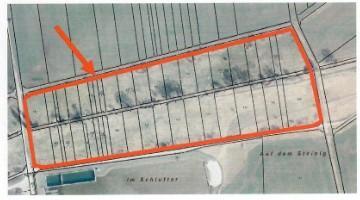 Foto - Flächen zur Heugewinnung - 2.389,00&nbsp;EUR Kaltmiete, ca.&nbsp; 0,00&nbsp;m&sup2;