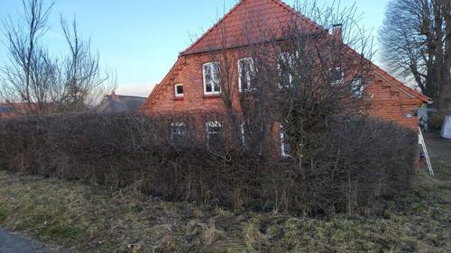 Foto - 6 Zimmer Einfamilienhaus zum Kaufen in Amt Neuhaus