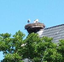 Terrassenwohnung, 3 Zimmer mit einzigartigem Blick über die Elbe - Artlenburg