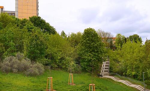Foto - Etagenwohnung in Neubrandenburg zur Miete