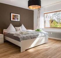 1 Zimmer Wohnung Apartment - 400,00 EUR Kaltmiete, in Friedenweiler (PLZ: 79877)