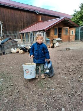 Foto - andere in Neustadt am Kulm