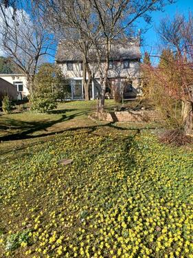 Foto - 4 Zimmer Einfamilienhaus zum Kaufen in Freiberg