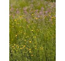 4 Zimmer Wohnung zzgl. Hobbyraum - renoviert - Hersbruck