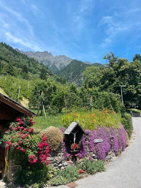 Foto - andere zur Miete in München