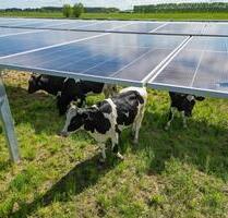 Agri-PV: Ihre Felder verpachten – Einnahmen steigern ohne Aufwand! - Mühldorf am Inn