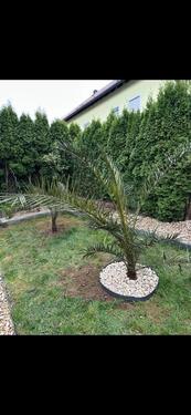 Foto - Etagenwohnung in Kelheim zum Kaufen