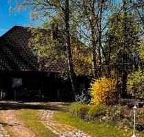 wunderschönes Haus für eine große Familie - Hohen Neuendorf Bergfelde