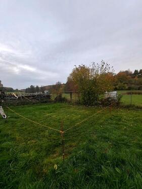 Foto - andere in Wilhermsdorf zur Miete