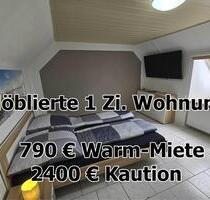 ab sofort - Möbliertes Apartment Nr. 16 - Neustadt - Im Schelmen 7 - Neustadt an der Weinstraße