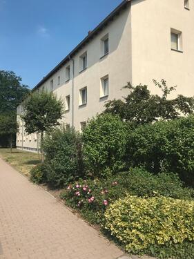 Foto - 1 Zimmer Dachgeschoßwohnung zur Miete in Bad Lausick