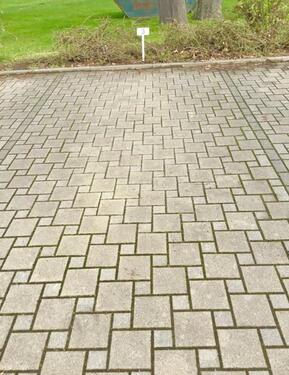 Foto - andere zur Miete in Dresden