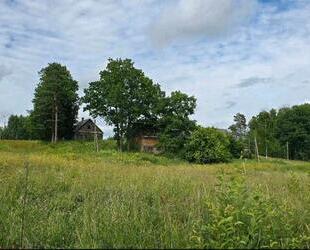 Altes Haus mit 4,4ha Grundstück in Lettland - Hannover Mitte