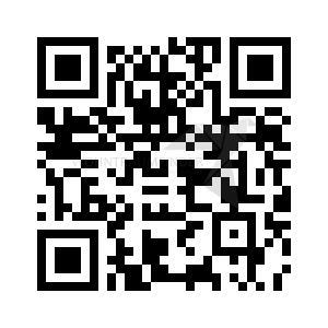 Foto - 2 Zimmer Etagenwohnung zur Miete in Zwickau