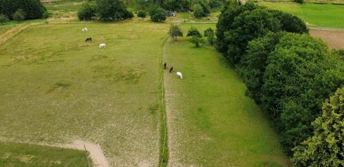 Foto - Einfamilienhaus in Mehren zum Kaufen