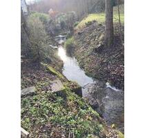 Frisch renovierte 1-Zimmer Wohnung im EG + Arbeitszimmer - Marbach am Neckar