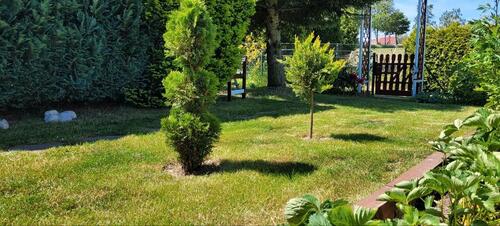 Foto - Grundst&uuml;ck zur Miete in Altenburg