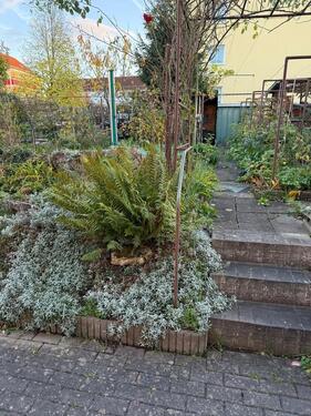 Foto - 4 Zimmer Reihenhaus in Saalfeld (Saale)