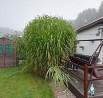 Kleingarten in Peitz - 2.000,00&nbsp;EUR Kaltmiete, ca.&nbsp; 0,00&nbsp;m&sup2; in Peitz (PLZ: 03185)