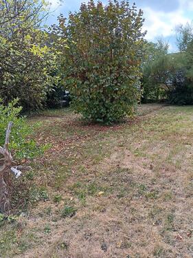 Foto - 5.5 Zimmer Einfamilienhaus in Herborn