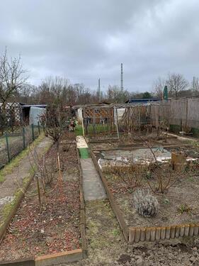 Foto - Grundst&uuml;ck zur Miete in Cottbus