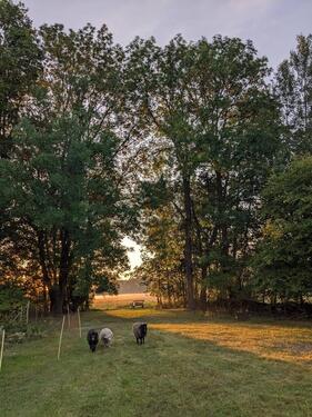 Foto - andere zur Miete in Storkow (Mark)
