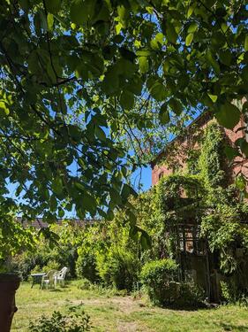 Foto - andere in Storkow (Mark)