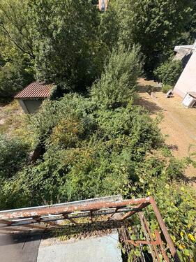 Foto - Riesiges Gartengrundstück zu vermieten