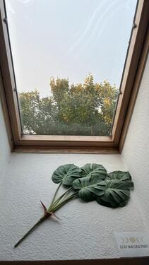Foto - Wohnung zur Untermiete 03.-16.11.