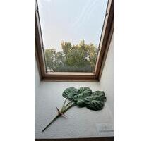 Wohnung zur Untermiete 03.-16.11. - Berlin Pankow