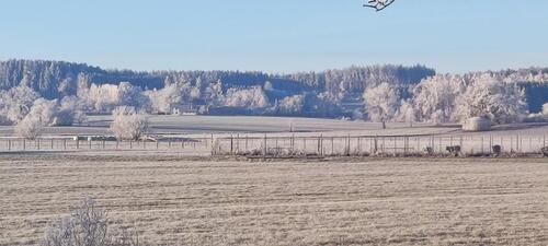 Foto - 4 Zimmer Doppelhaushälfte in Germering