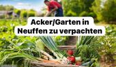 Foto - Acker Garten Beet Gemüseanbau Hobbygarten Selbstversorgung