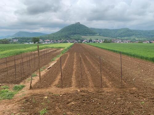 Foto - Grundst&uuml;ck zur Miete in Neuffen