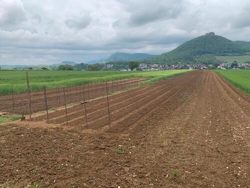 Foto - Grundst&uuml;ck in Neuffen