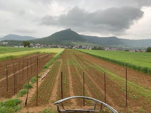 Foto - Grundst&uuml;ck in Neuffen zur Miete