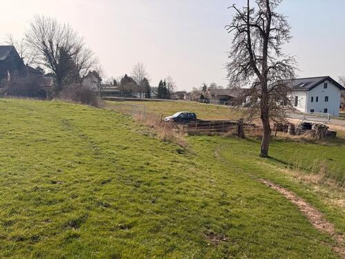 Foto - Grundst&uuml;ck in Zülpich