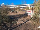Foto - Garten zu vermieten - 31,00&nbsp;EUR Kaltmiete, ca.&nbsp; 0,00&nbsp;m&sup2;