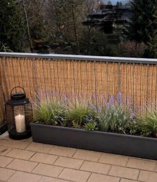 Foto - 2 Zimmer Wohnung KDB und Balkon