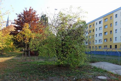 Foto - Etagenwohnung in Dessau-Roßlau zur Miete