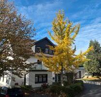 3,5 Zimmer Küche Bad Wohnung in Brake - Lemgo