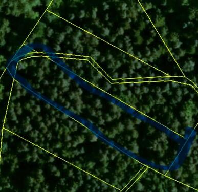 Foto - Waldgrundstück, Wald, sichere Anlage