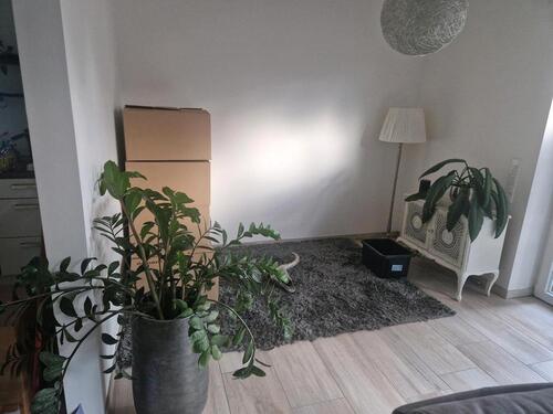 Foto - 1 Zimmer Erdgeschoßwohnung in Vreden