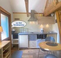 30% Rabatt Süße Ferienwohnung mit Hund Bü Ostsee Wendtorf ab - Laboe