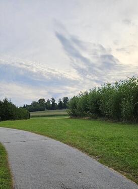 Foto - Energiewald, einmal abgeerntet - 10,00 EUR Kaltmiete, ca.  0,00 m²