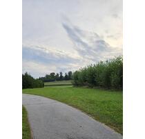 Energiewald, einmal abgeerntet - 10,00 EUR Kaltmiete, ca.  0,00 m² in Büchlberg (PLZ: 94124)