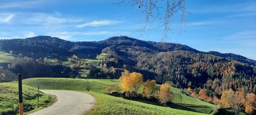 Foto - Ferienwohnung Süd. Schwarzwald !! Ruhige Lage
