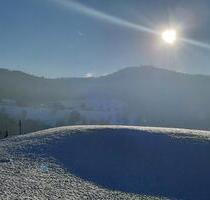 Ferienwohnung Süd. Schwarzwald !! Ruhige Lage ab2.01.26 frei - Zell im Wiesental