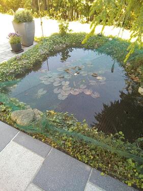 Foto - 